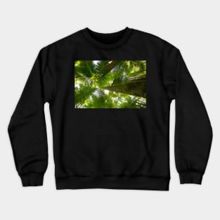 Looking up Crewneck Sweatshirt